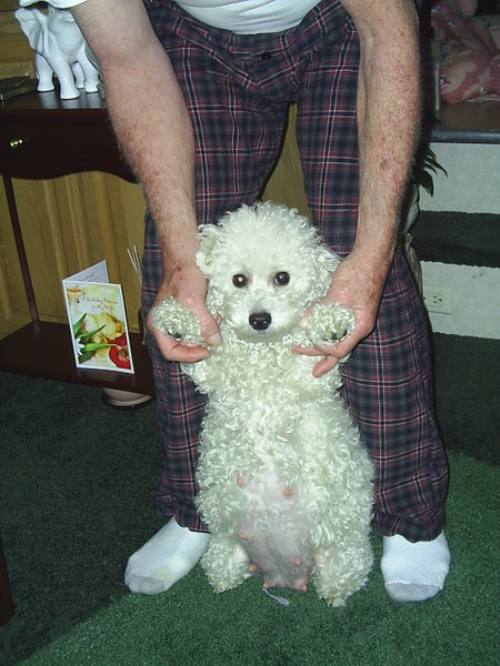 Entry image for Annie. Clicking this image will show a larger photo