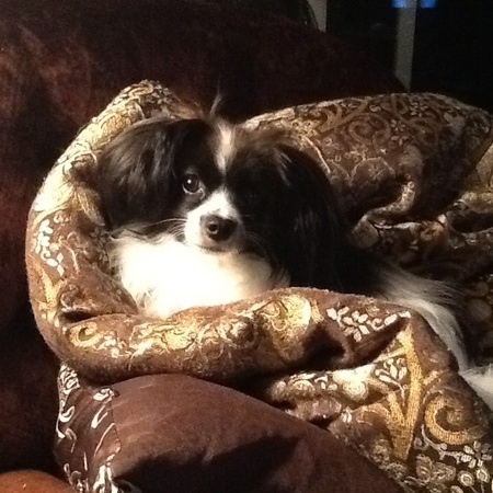 Entry image for Charlie Winchester . Clicking this image will show a larger photo