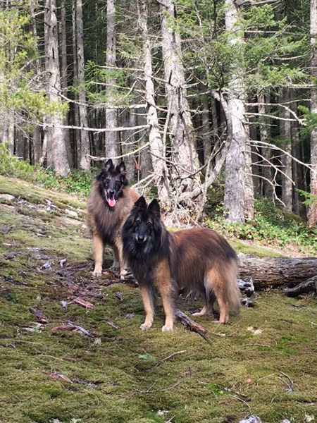 Entry image for Jake and Pandora. Clicking this image will show a larger photo