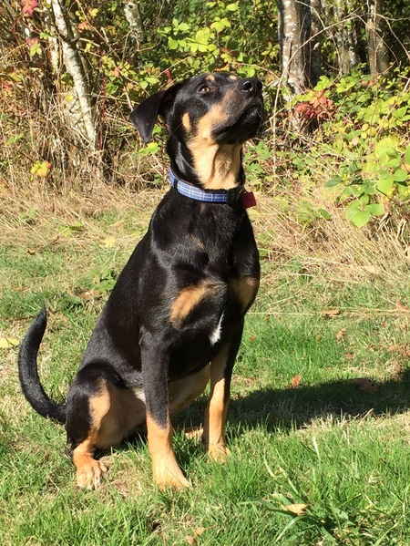 Entry image for Delta. Clicking this image will show a larger photo