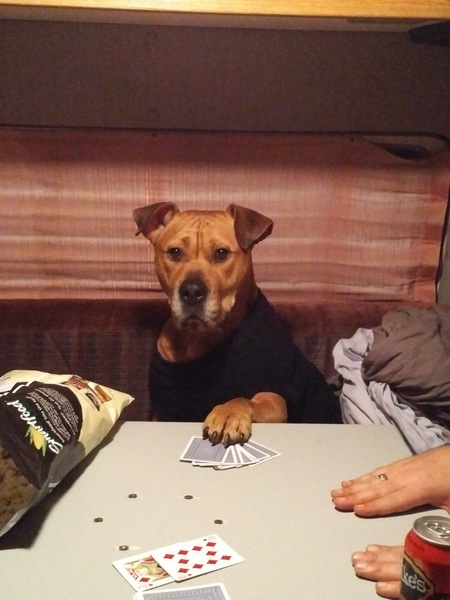 Entry image for Mex. Clicking this image will show a larger photo