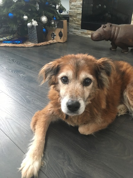 Entry image for Ramona Sunder. Clicking this image will show a larger photo