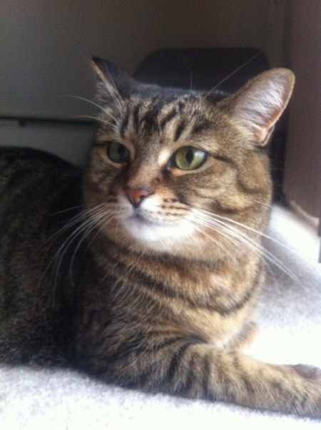 Entry image for Leela . Clicking this image will show a larger photo