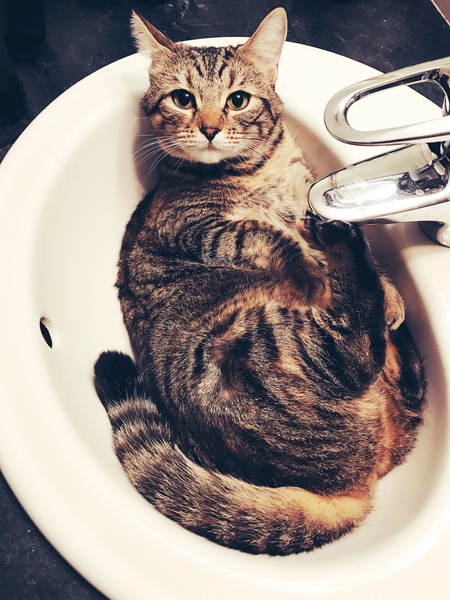 Entry image for Prada. Clicking this image will show a larger photo