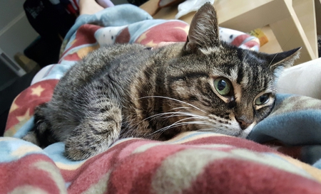 Entry image for Emma Swan. Clicking this image will show a larger photo