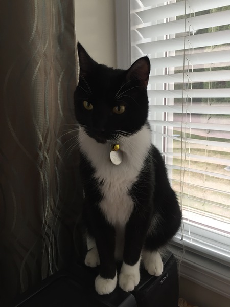 Entry image for JD. Clicking this image will show a larger photo