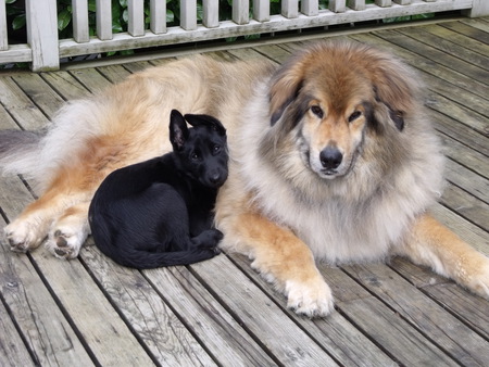 Entry image for Ben & Nellie. Clicking this image will show a larger photo