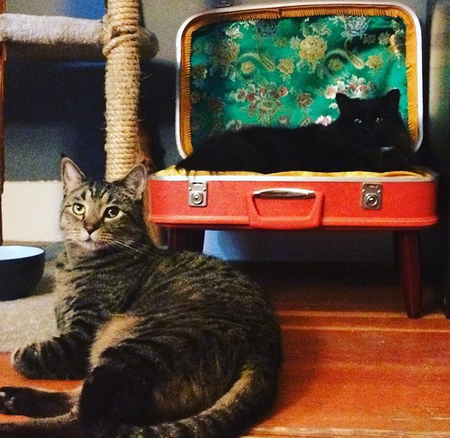 Entry image for Thelonious and Billie Holiday . Clicking this image will show a larger photo