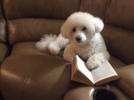 Entry image for KARI. Clicking this image will show a larger photo