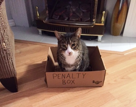 Entry image for McLovin . Clicking this image will show a larger photo