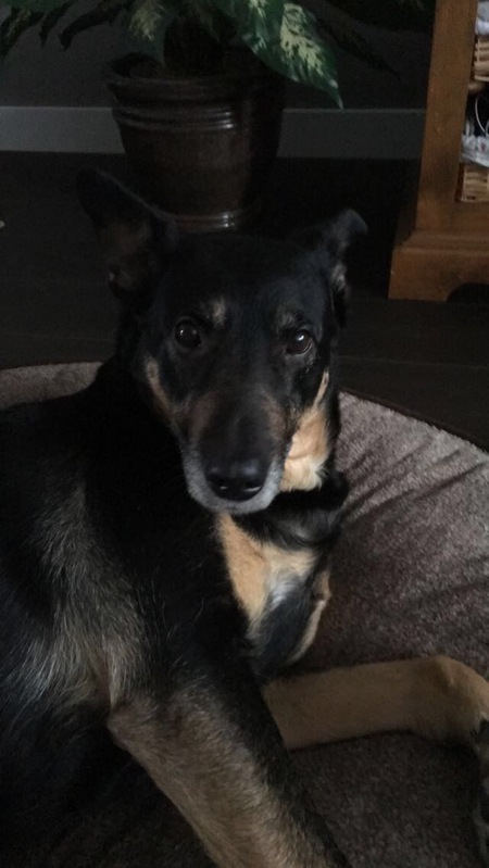 Entry image for Ricki. Clicking this image will show a larger photo