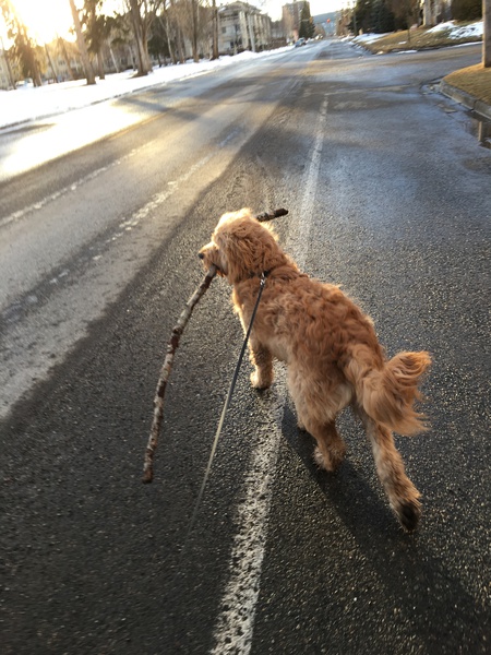 Entry image for Jorge Manuel. Clicking this image will show a larger photo