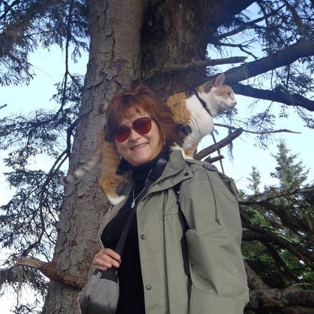 Entry image for Pooke. Clicking this image will show a larger photo