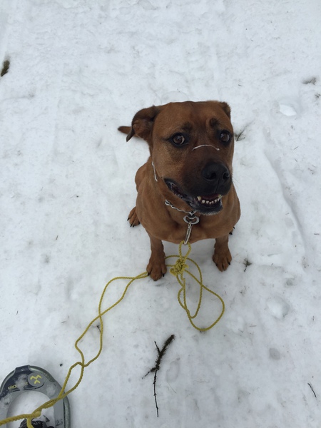 Entry image for Diva. Clicking this image will show a larger photo