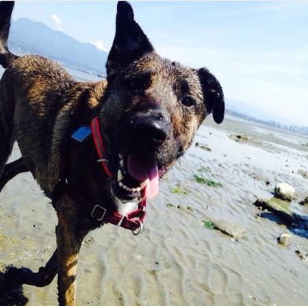 Entry image for Iksi. Clicking this image will show a larger photo