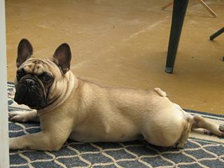 Entry image for Jackson. Clicking this image will show a larger photo