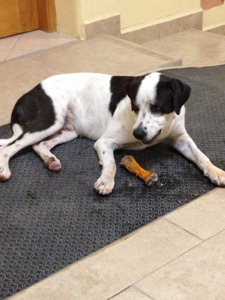 Entry image for Hombre. Clicking this image will show a larger photo