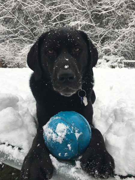 Entry image for Sloan. Clicking this image will show a larger photo