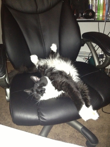 Entry image for Optimus. Clicking this image will show a larger photo