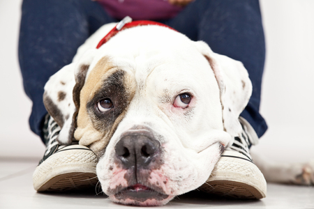 Entry image for Gordon. Clicking this image will show a larger photo