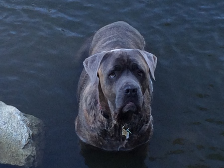 Entry image for Floyd. Clicking this image will show a larger photo