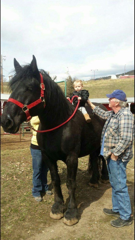 Entry image for Jaycee. Clicking this image will show a larger photo