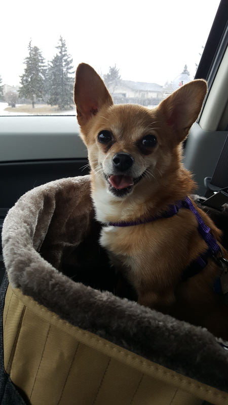 Entry image for Batman. Clicking this image will show a larger photo