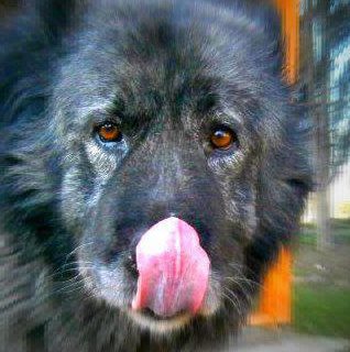 Entry image for Alexandra. Clicking this image will show a larger photo