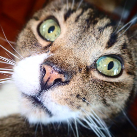 Entry image for Jimmy. Clicking this image will show a larger photo