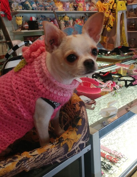 Entry image for Bubbles. Clicking this image will show a larger photo