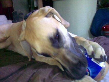 Entry image for Magna. Clicking this image will show a larger photo