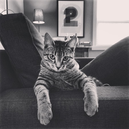 Entry image for Kingslayer. Clicking this image will show a larger photo