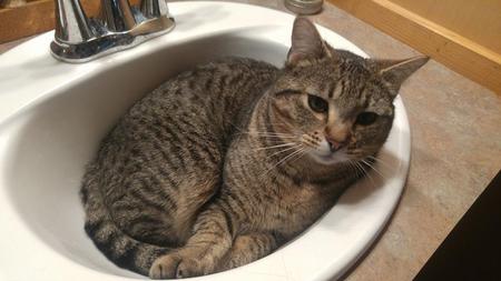 Entry image for Max. Clicking this image will show a larger photo