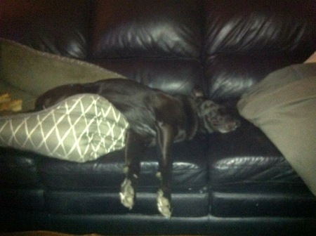 Entry image for Simon. Clicking this image will show a larger photo