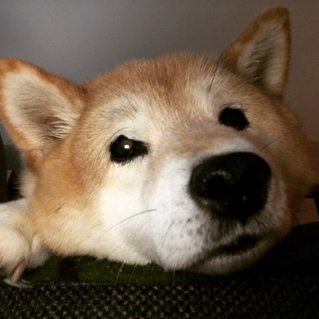 Entry image for Mika. Clicking this image will show a larger photo