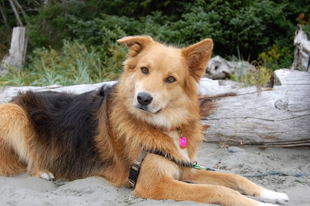 Entry image for Kyli. Clicking this image will show a larger photo