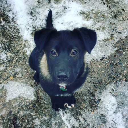 Entry image for Kobe. Clicking this image will show a larger photo