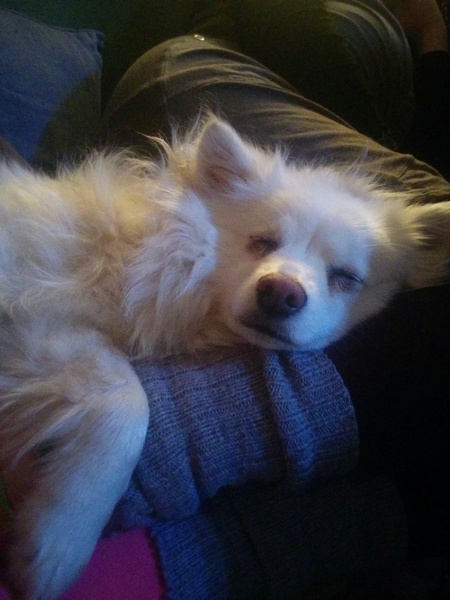 Entry image for Keira. Clicking this image will show a larger photo