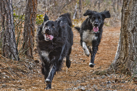 Entry image for Nikki and Grady. Clicking this image will show a larger photo