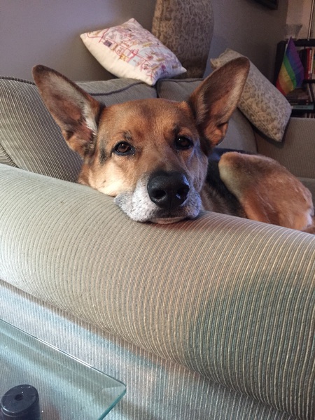 Entry image for Mia. Clicking this image will show a larger photo