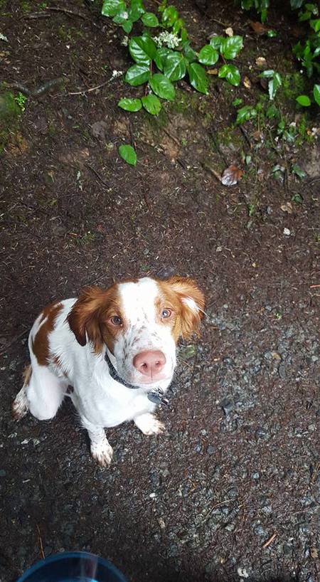 Entry image for Rogue. Clicking this image will show a larger photo