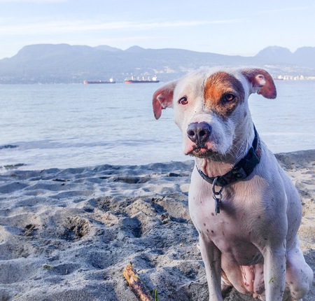 Entry image for Chloe. Clicking this image will show a larger photo