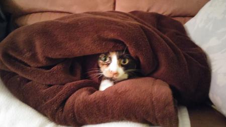 Entry image for Emma. Clicking this image will show a larger photo