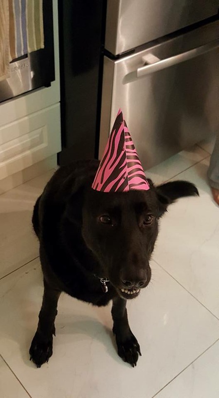 Entry image for Lexi. Clicking this image will show a larger photo