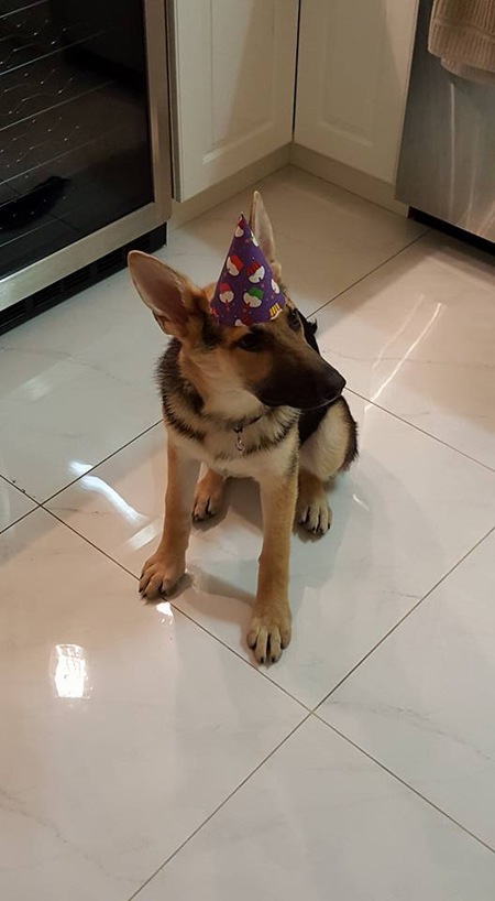 Entry image for Shanaya. Clicking this image will show a larger photo