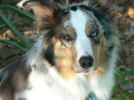 Entry image for Granite . Clicking this image will show a larger photo