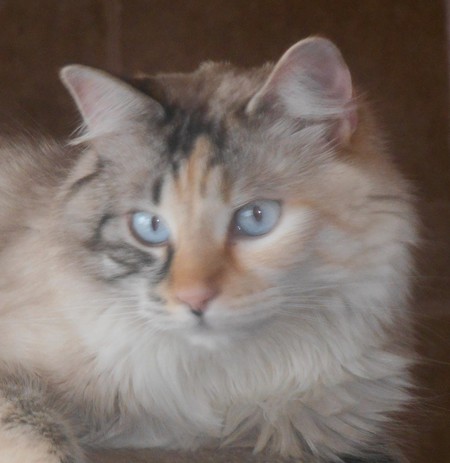 Entry image for Sunshine. Clicking this image will show a larger photo