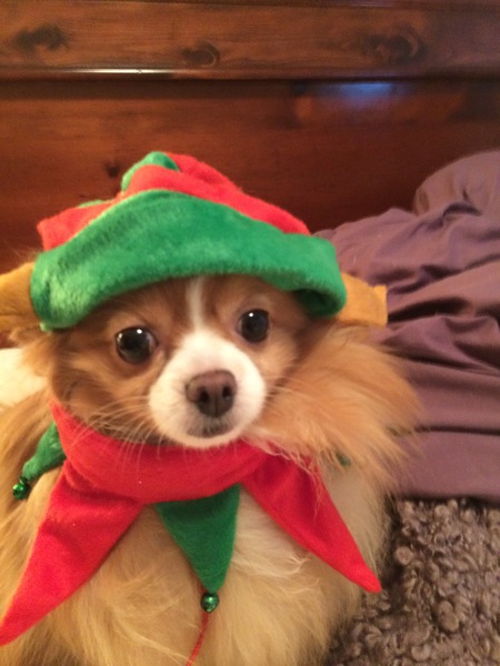 Entry image for Taya. Clicking this image will show a larger photo