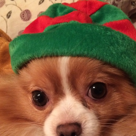 Entry image for Taya . Clicking this image will show a larger photo