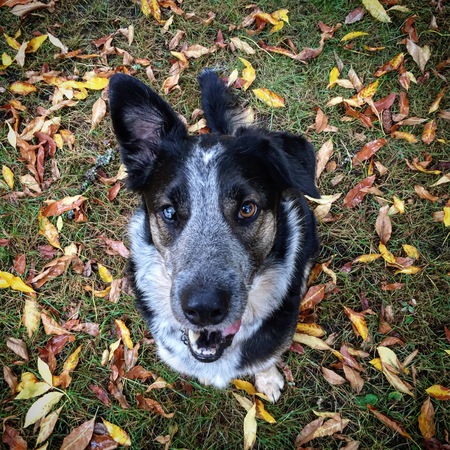 Entry image for Rodger. Clicking this image will show a larger photo